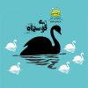 قوی سیاه